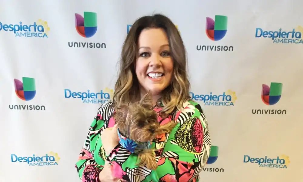 Melissa McCarthy Wiki Biography, Weight Loss, Height, Facts